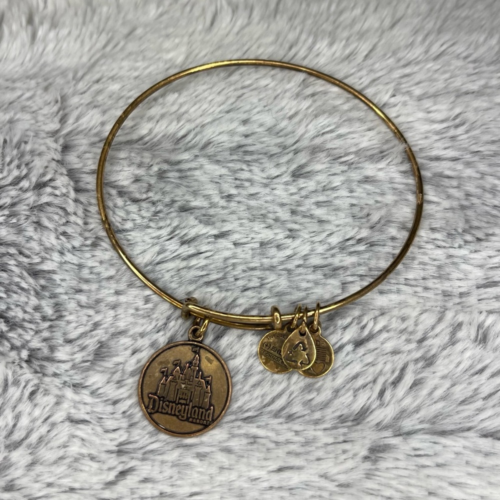 Alex and Ani Disneyland Bracelet